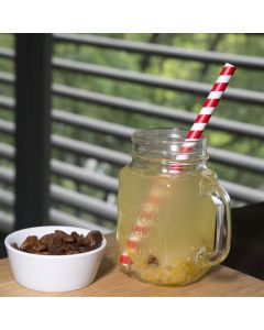 Fiesta Compostable rood/wit gestreepte papieren smoothierietjes 21cm