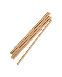 Fiesta Compostable composteerbare papieren buigrietjes kraft (250 stuks)